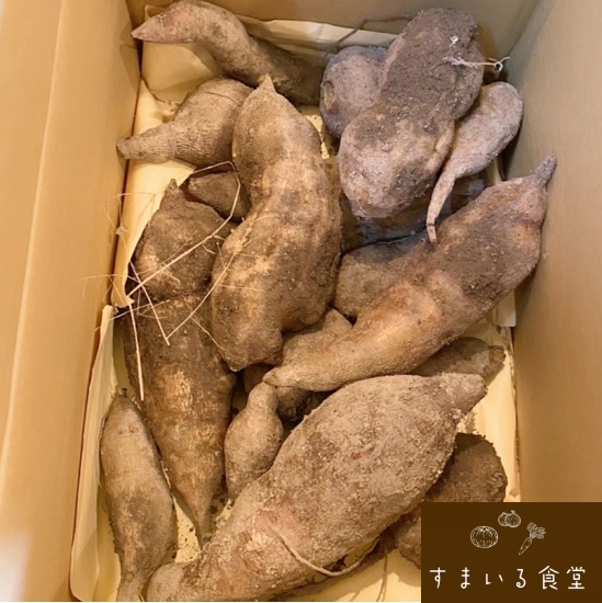 河内長野すまいる食堂ヤーコン