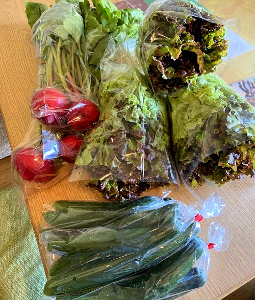 河内長野すまいる食堂野菜届きました