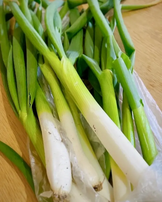 河内長野すまいる食堂 恩送りでお野菜ネギ